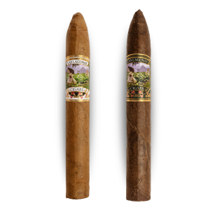 BELICOSO